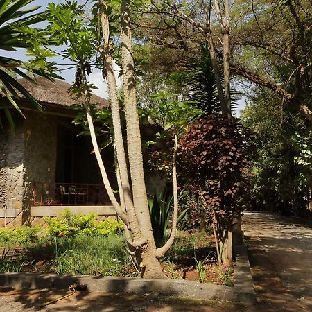 Abay Minch Lodge Bahir Dar Exterior foto