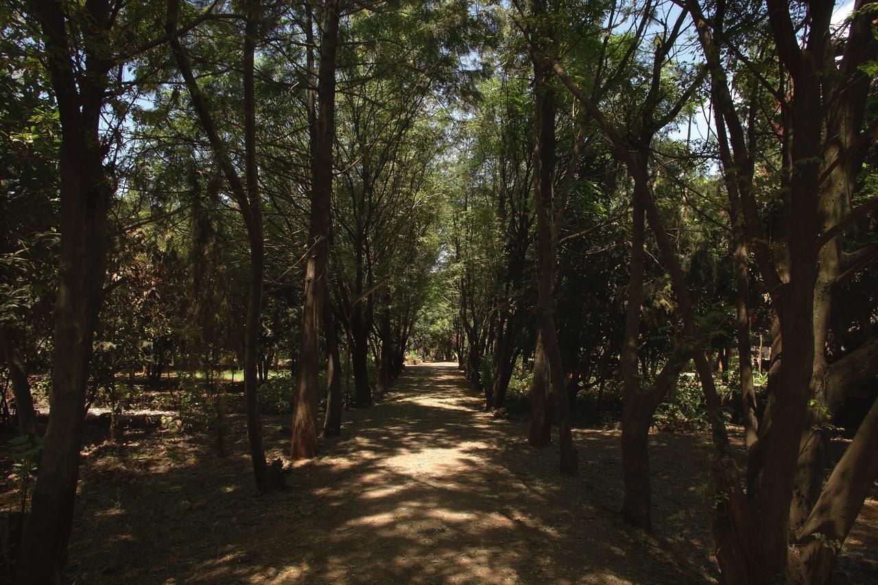 Abay Minch Lodge Bahir Dar Exterior foto