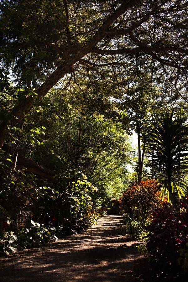 Abay Minch Lodge Bahir Dar Exterior foto