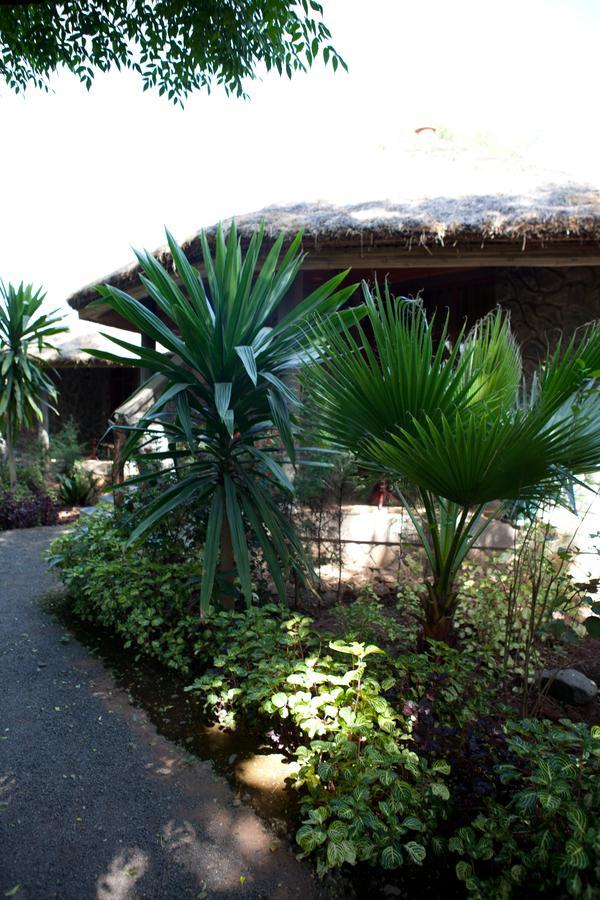 Abay Minch Lodge Bahir Dar Exterior foto