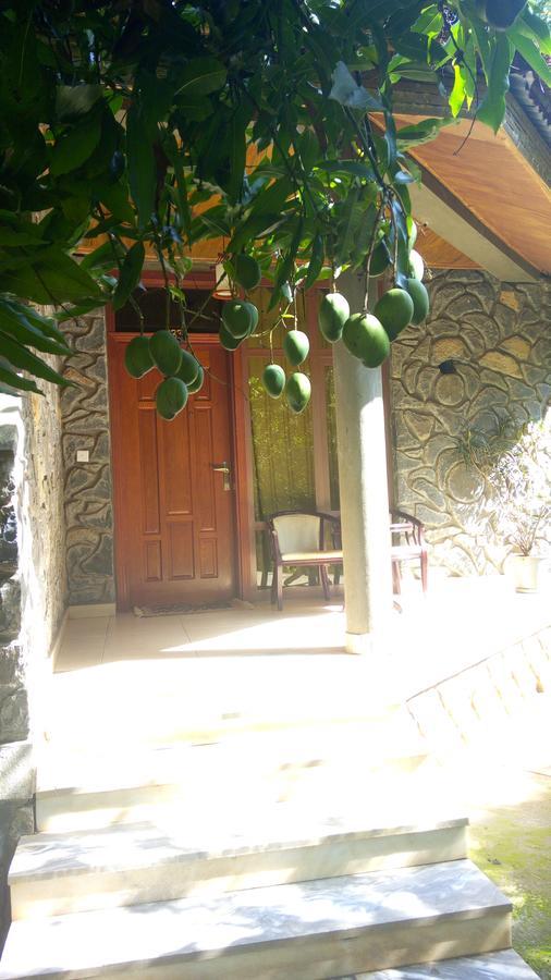 Abay Minch Lodge Bahir Dar Exterior foto